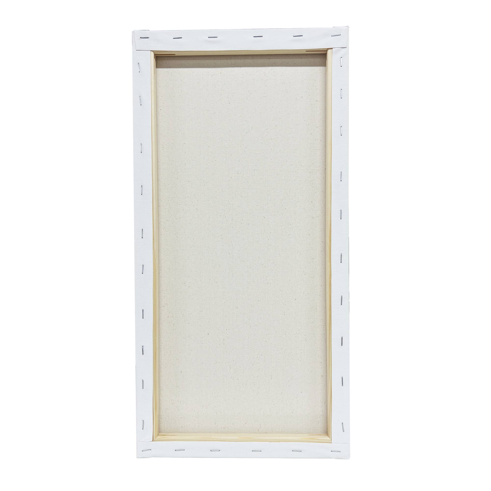 6 Pack 10" x 20" Super Value Canvas Pack by Artist's Loft®